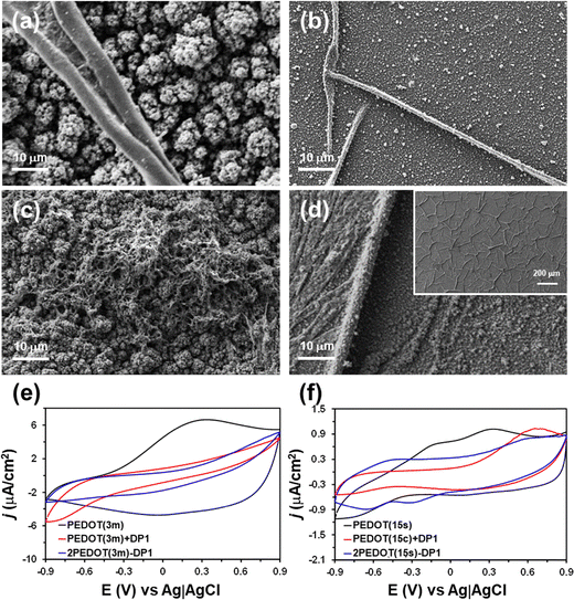 image file: d5ma01170a-f2.tif