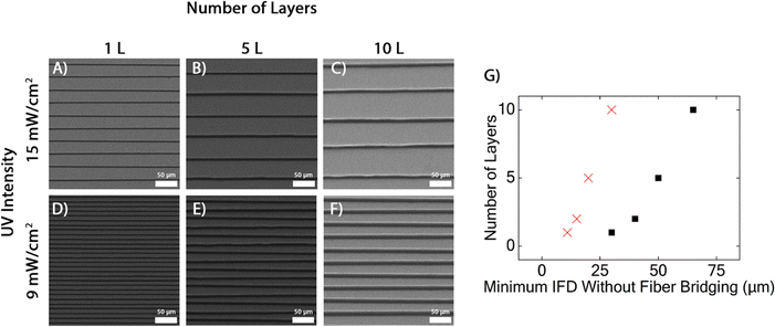 image file: d5ma01174d-f2.tif