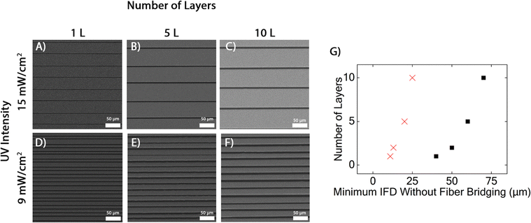 image file: d5ma01174d-f3.tif