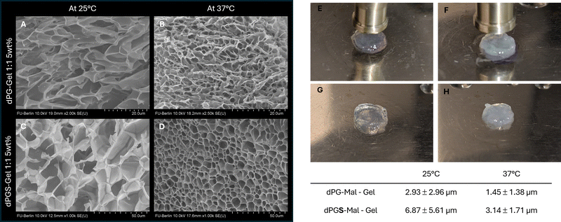 image file: d5ma01183c-f2.tif