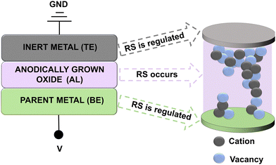 image file: d5ma01223f-f1.tif