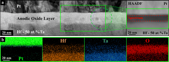image file: d5ma01223f-f10.tif