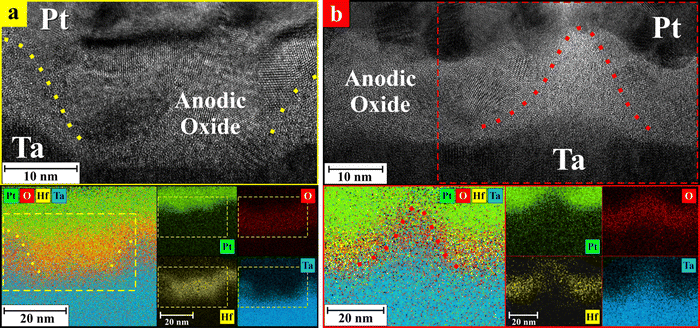 image file: d5ma01223f-f4.tif