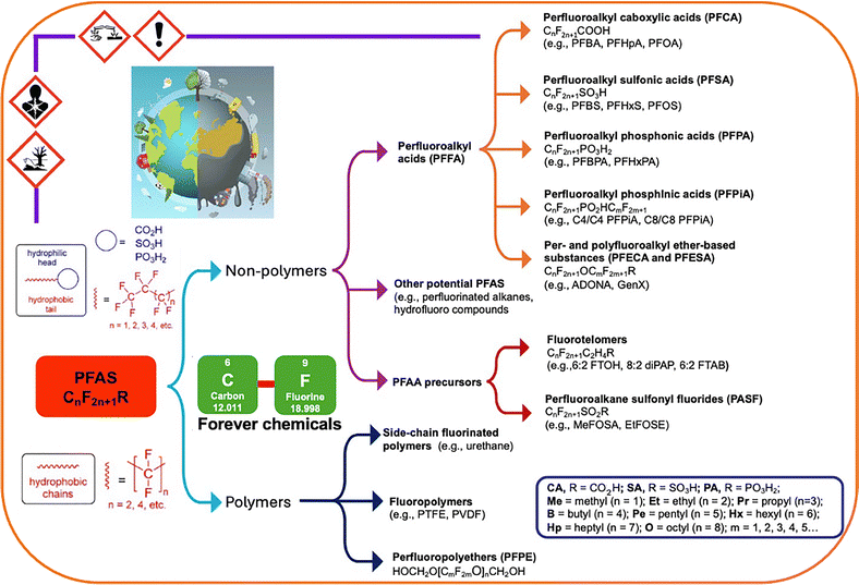 image file: d5ma01247c-f2.tif