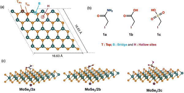 image file: d5ma01255d-f1.tif