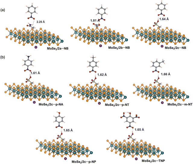 image file: d5ma01255d-f3.tif