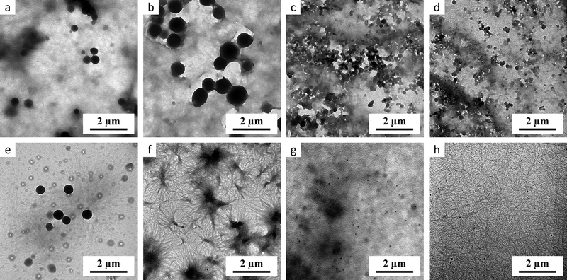 image file: d5ma01285f-f2.tif