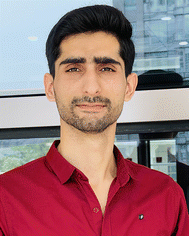 image file: d5ma01290b-p1.tif