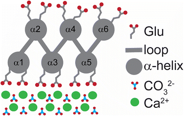 image file: d5ma01322d-f1.tif