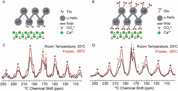 image file: d5ma01322d-f2.tif