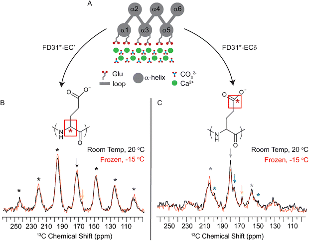 image file: d5ma01322d-f4.tif
