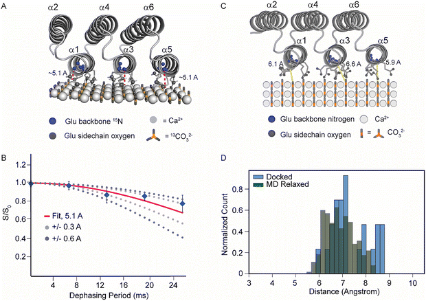 image file: d5ma01322d-f6.tif