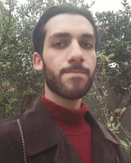 image file: d5ma01359c-p1.tif