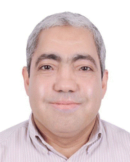 image file: d5ma01359c-p2.tif