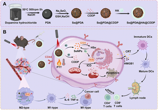 image file: d5ma01372k-s1.tif