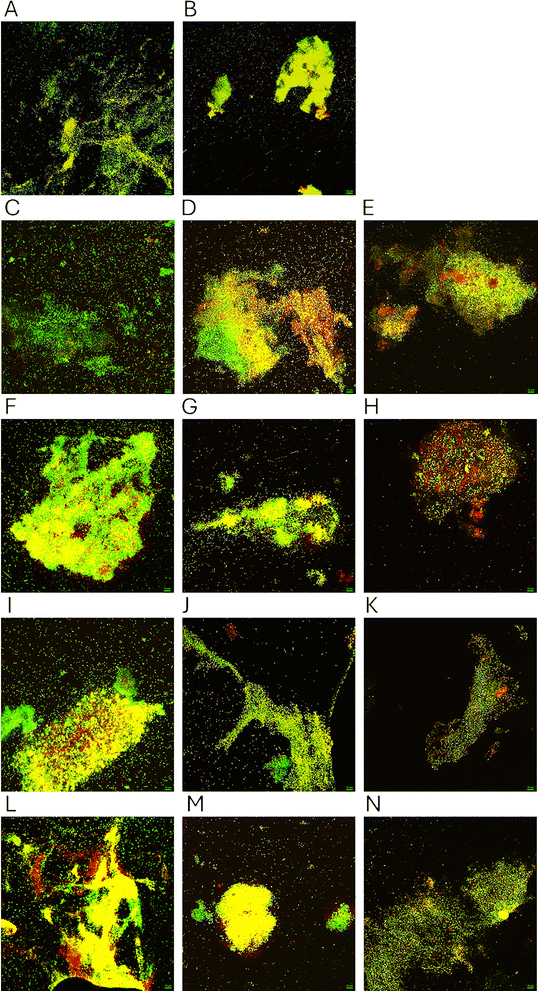 image file: d5ma01392e-f2.tif