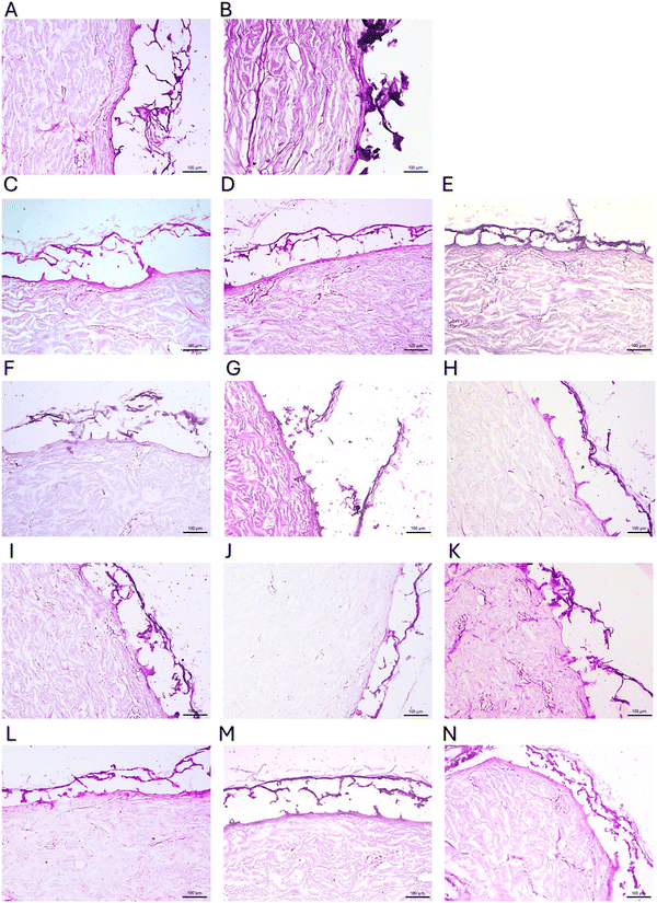 image file: d5ma01392e-f7.tif