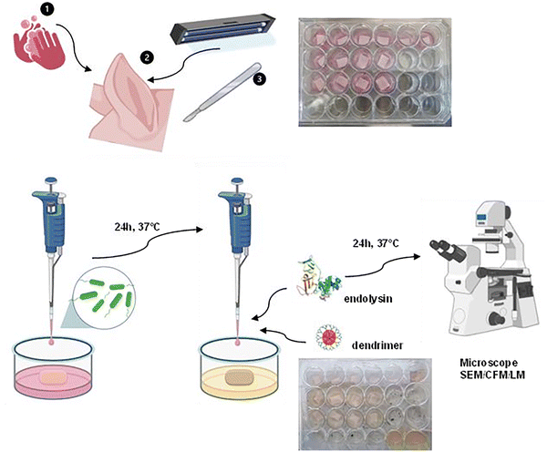 image file: d5ma01392e-s2.tif