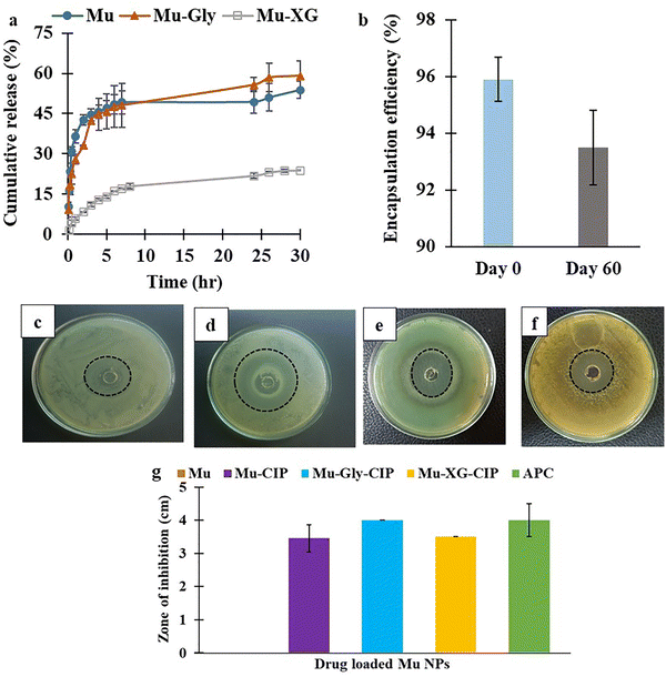 image file: d5ma01442e-f3.tif