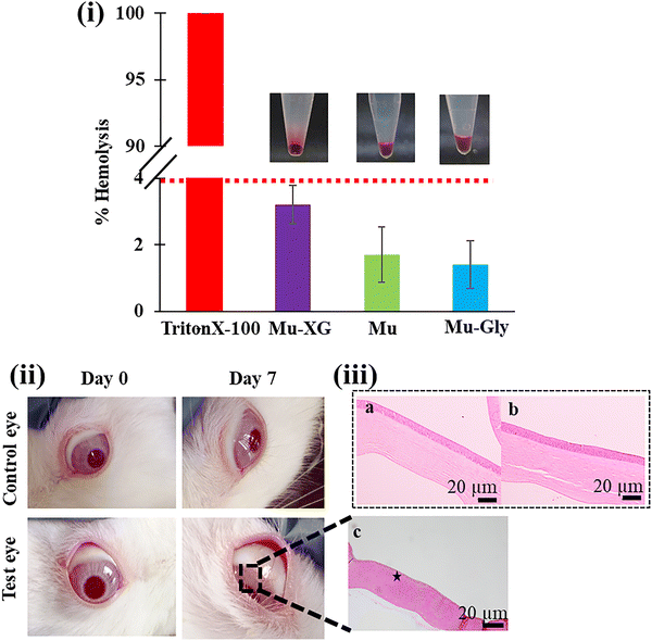 image file: d5ma01442e-f5.tif