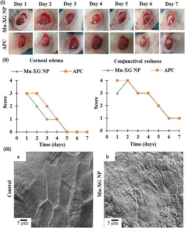 image file: d5ma01442e-f7.tif