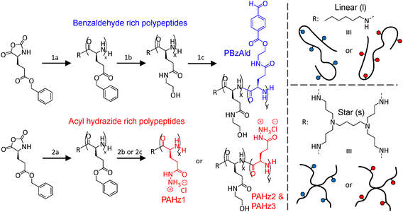 image file: d5ma01468a-f1.tif