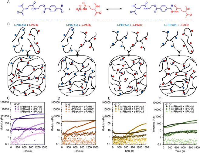 image file: d5ma01468a-f3.tif