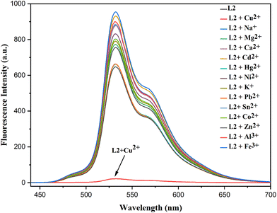 image file: d5ma01475a-f10.tif