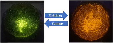 image file: d5ma01475a-f5.tif