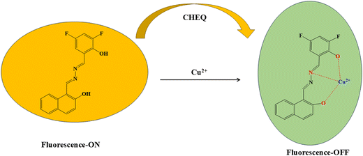 image file: d5ma01475a-s3.tif