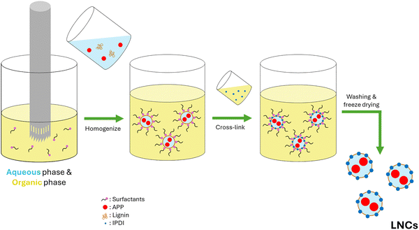 image file: d5ma01531f-s1.tif