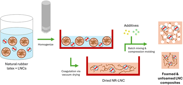 image file: d5ma01531f-s2.tif