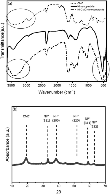 image file: d5ma01533b-f2.tif