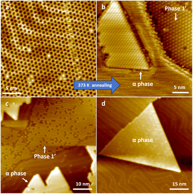 image file: d6ma00100a-f4.tif