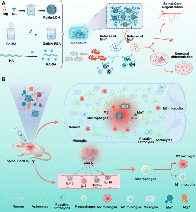 image file: d6ma00108d-s1.tif