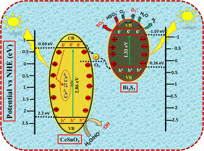 image file: d6ma00255b-s3.tif