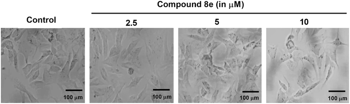 image file: d5md00554j-f3.tif