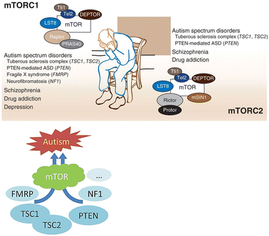image file: d5md00641d-f2.tif