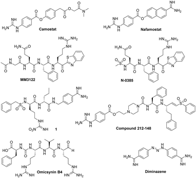 image file: d5md00680e-f1.tif
