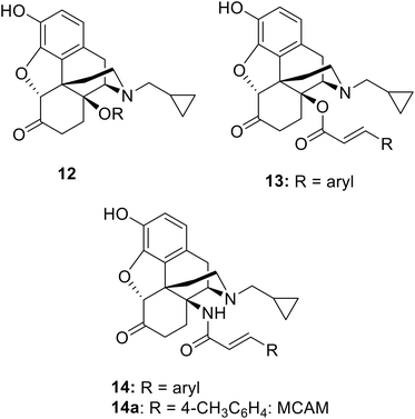 image file: d5md00685f-c2.tif