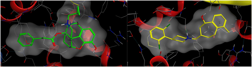 image file: d5md00685f-f1.tif