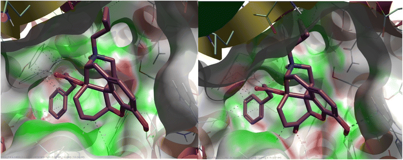 image file: d5md00685f-f2.tif