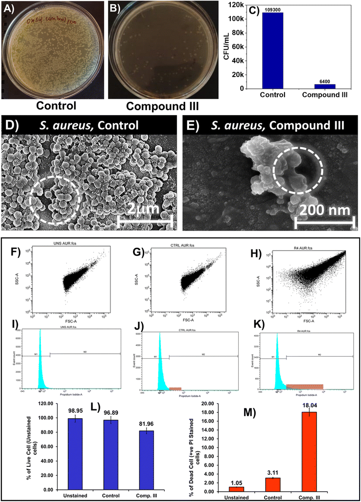 image file: d5md00728c-f5.tif