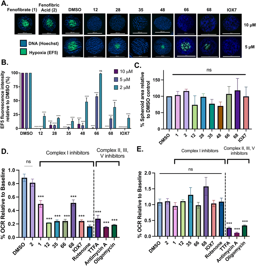 image file: d5md00742a-f2.tif