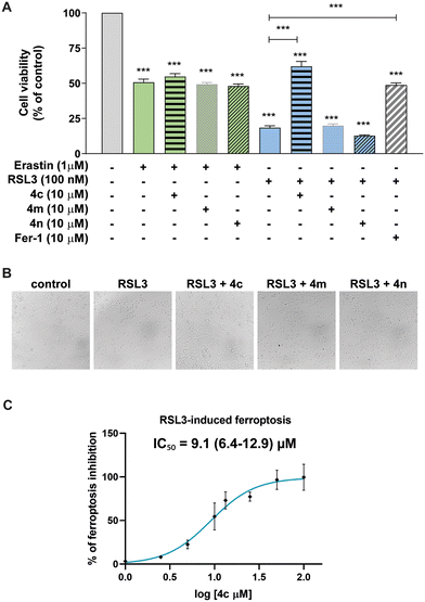 image file: d5md00753d-f2.tif