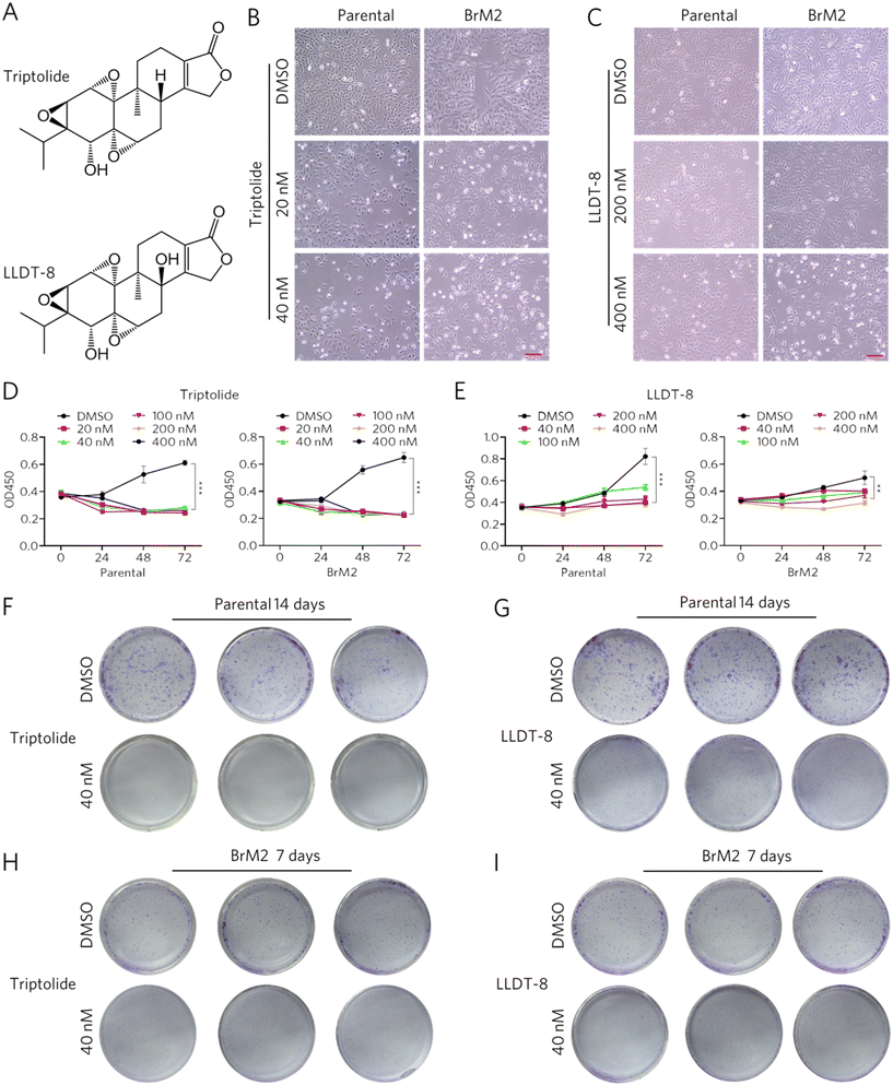 image file: d5md00754b-f2.tif