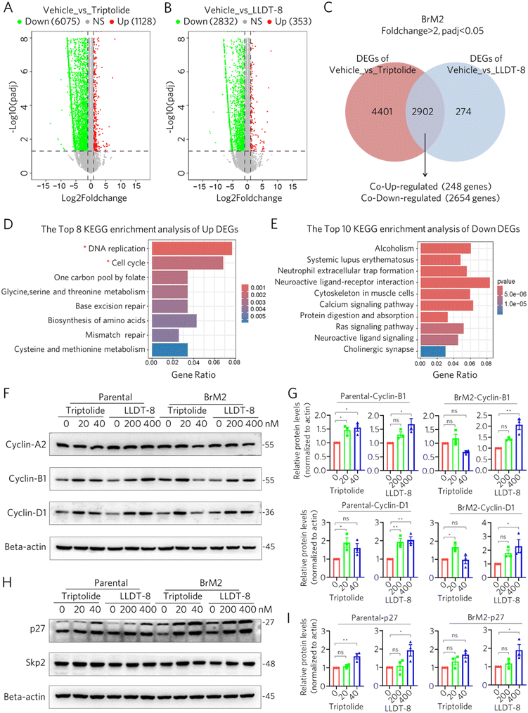 image file: d5md00754b-f3.tif