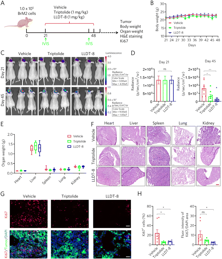 image file: d5md00754b-f5.tif