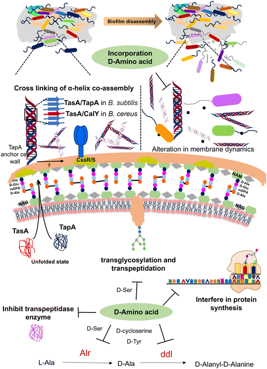 image file: d5md00760g-f5.tif