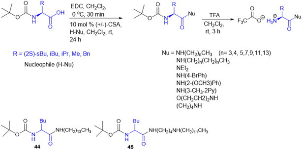 image file: d5md00760g-s14.tif